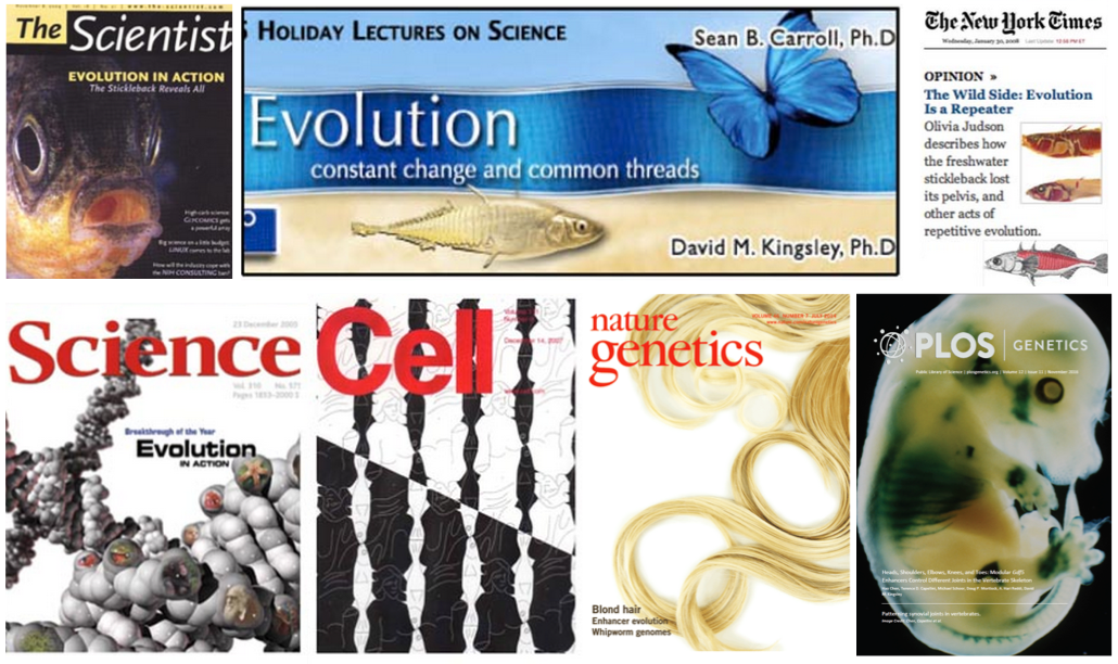 Lab News